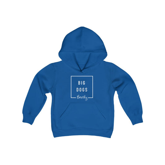 Youth Beverly Elementary Hoodie